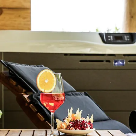 Domek alpejski Ahuetten *